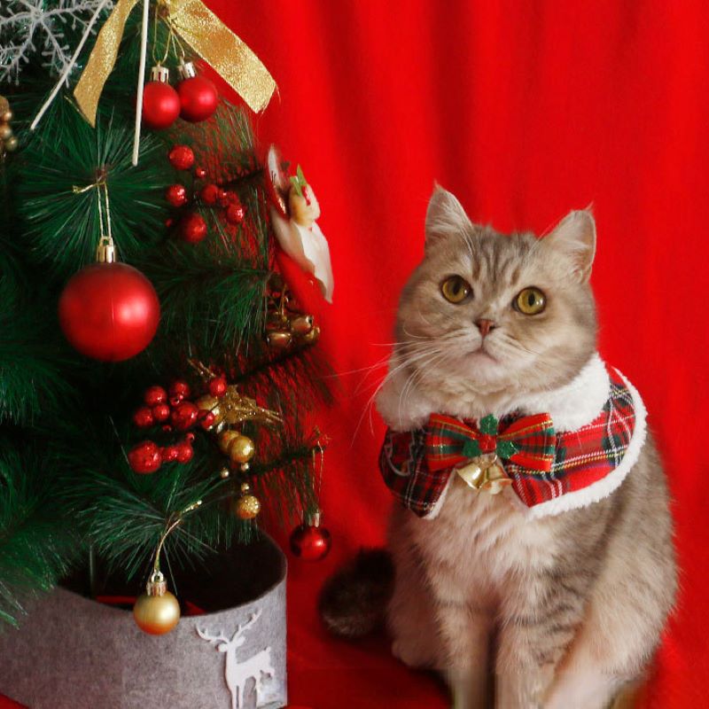 Winter Clothing Accessories - Katze Weihnachten Mantel Haustier Neujahr Cape