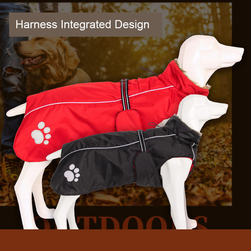 Hohe Qualität 5XL Große Hund K – Winter Clothing Wholesale Bewertung und Preis